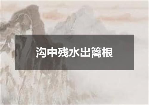 沟中残水出篱根