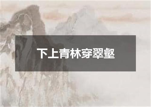 下上青林穿翠壑