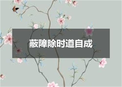 蔽障除时道自成