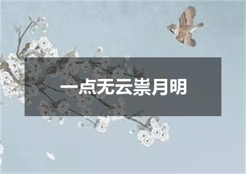 一点无云祟月明