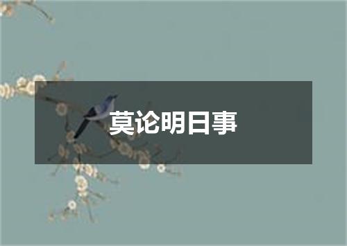 莫论明日事