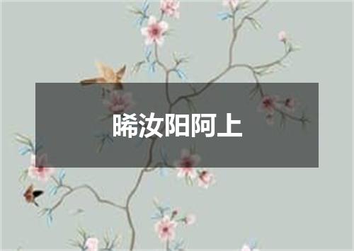 晞汝阳阿上