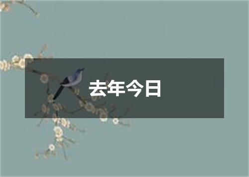 去年今日