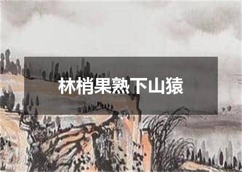 林梢果熟下山猿