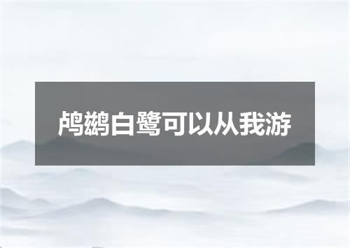 鸬鹚白鹭可以从我游