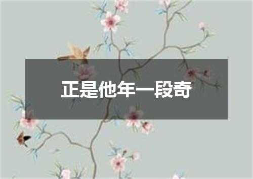 正是他年一段奇