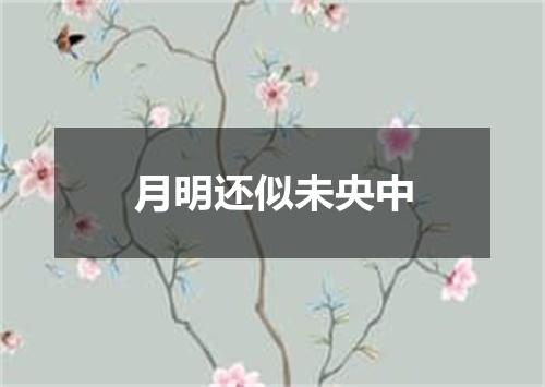 月明还似未央中