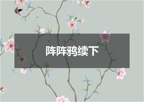 阵阵鸦续下