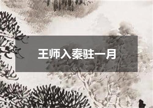 王师入秦驻一月