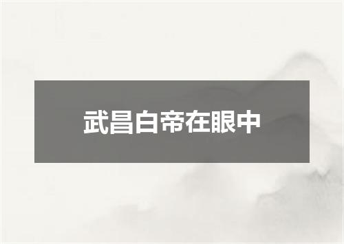 武昌白帝在眼中