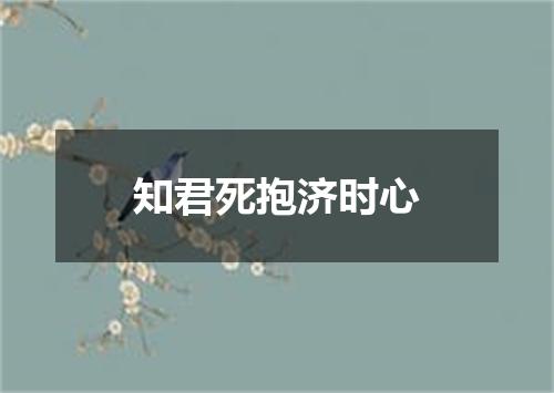 知君死抱济时心