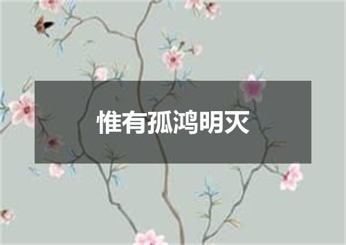 惟有孤鸿明灭