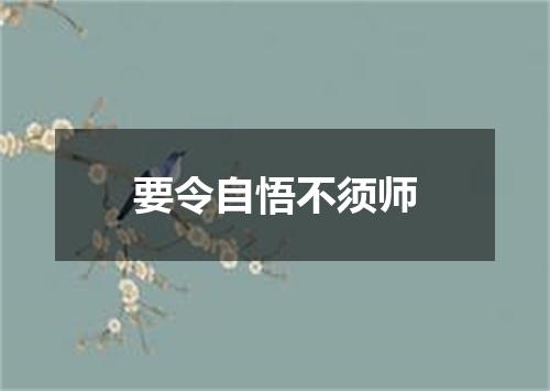 要令自悟不须师