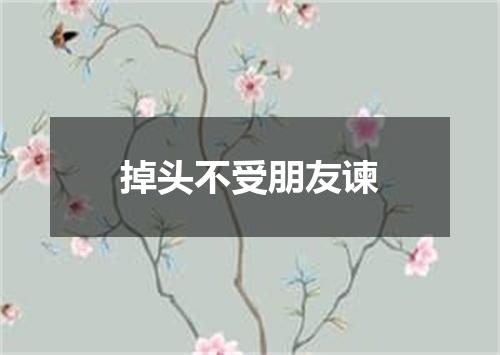 掉头不受朋友谏