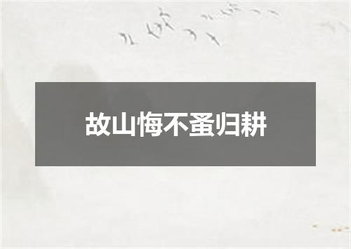 故山悔不蚤归耕