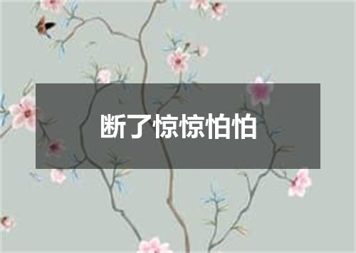 断了惊惊怕怕