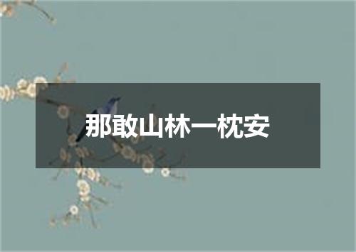 那敢山林一枕安