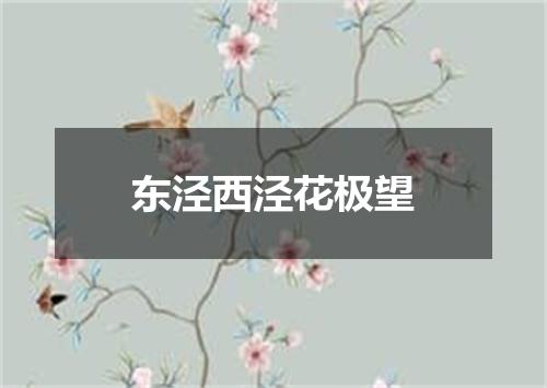 东泾西泾花极望