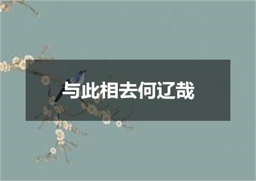 与此相去何辽哉