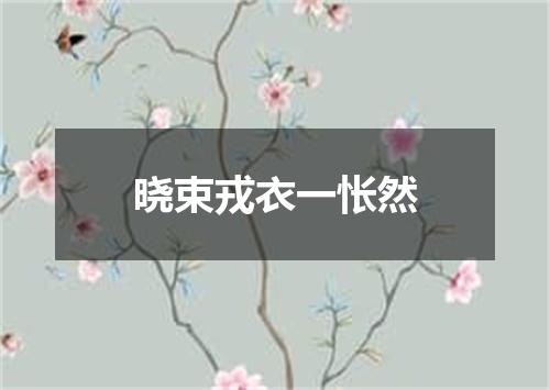 晓束戎衣一怅然