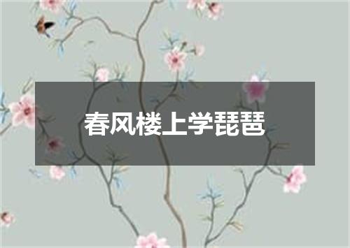 春风楼上学琵琶