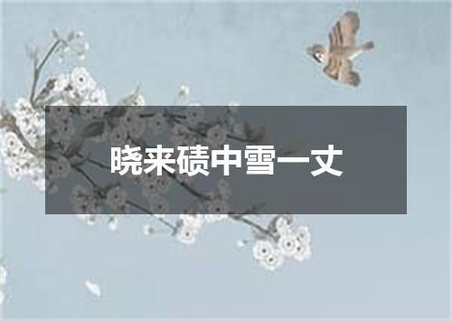 晓来碛中雪一丈