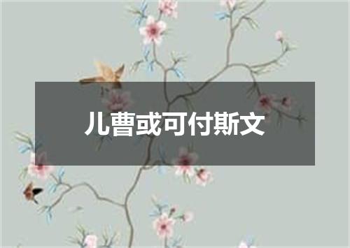 儿曹或可付斯文