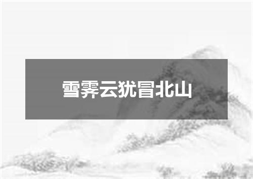 雪霁云犹冒北山