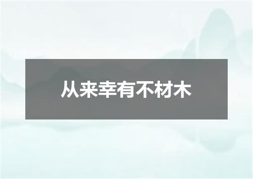 从来幸有不材木