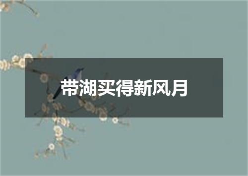 带湖买得新风月