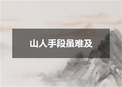 山人手段虽难及