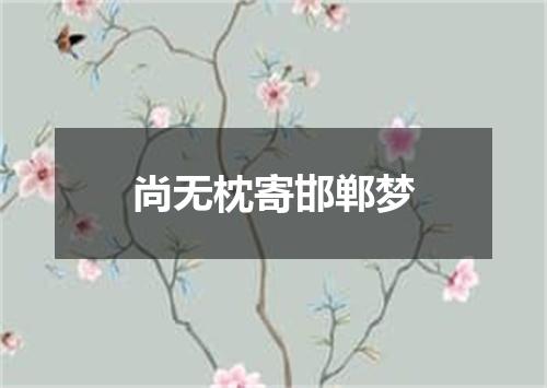 尚无枕寄邯郸梦