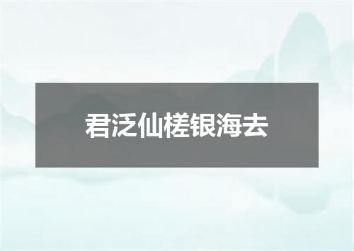 君泛仙槎银海去