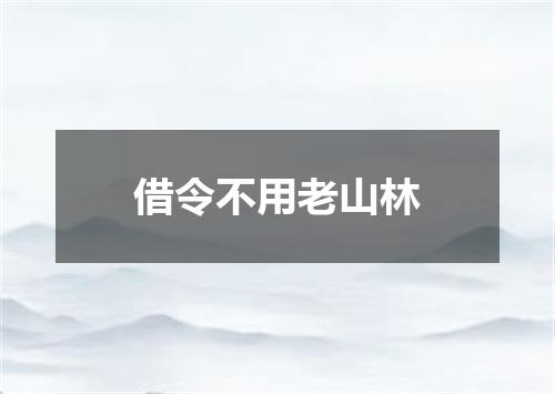 借令不用老山林