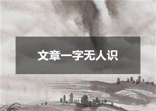 文章一字无人识