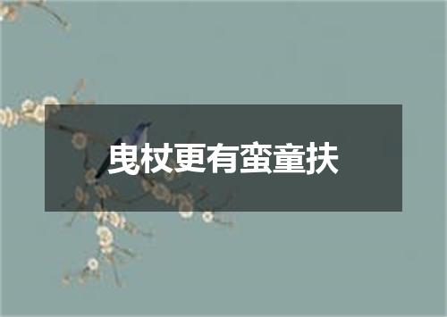 曳杖更有蛮童扶