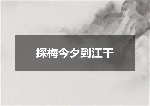 探梅今夕到江干