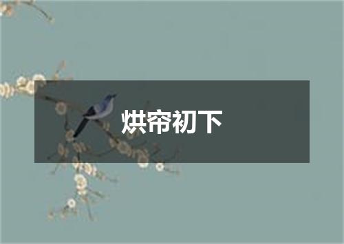 烘帘初下