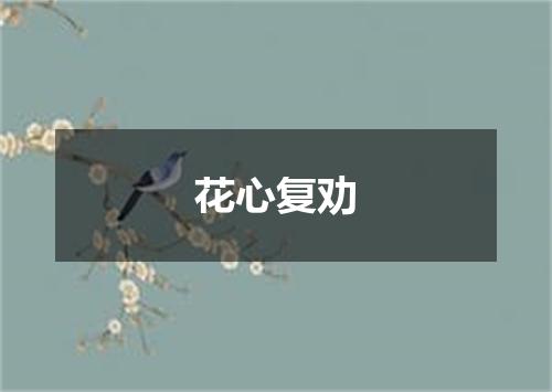 花心复劝