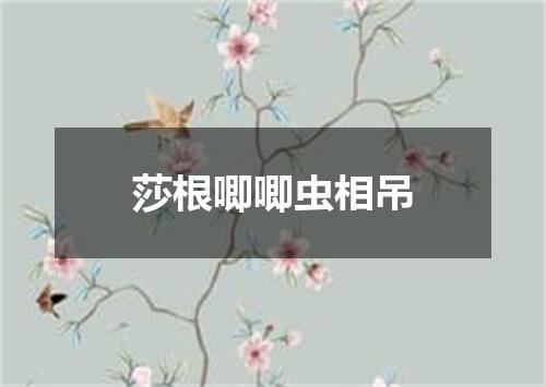 莎根唧唧虫相吊