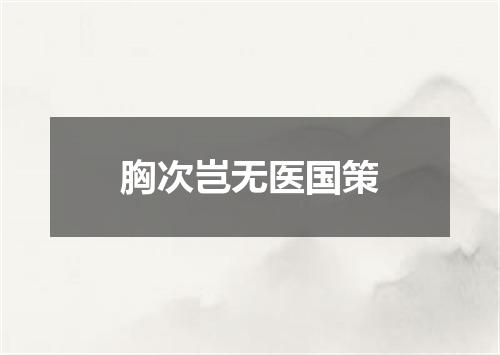 胸次岂无医国策