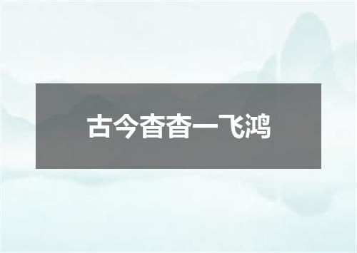 古今杳杳一飞鸿