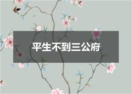 平生不到三公府