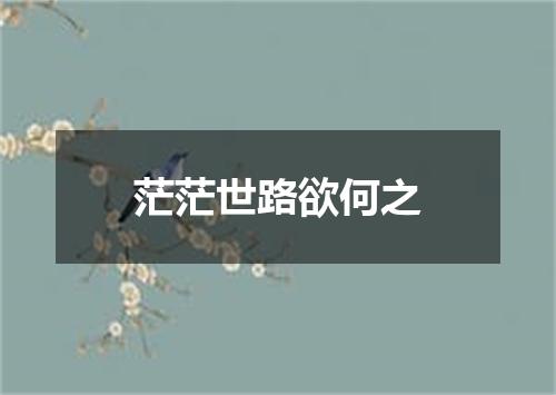 茫茫世路欲何之