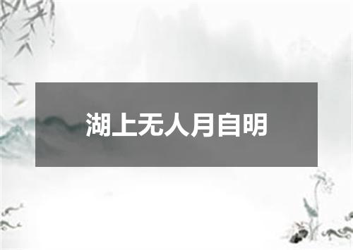 湖上无人月自明