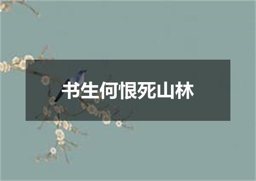 书生何恨死山林