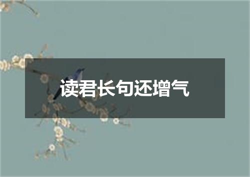 读君长句还增气