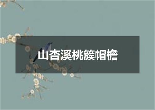 山杏溪桃簇帽檐