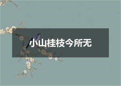 小山桂枝今所无