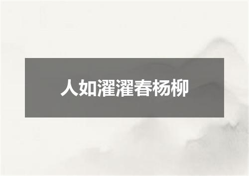 人如濯濯春杨柳